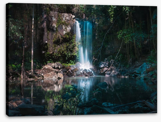 Curtis Falls
