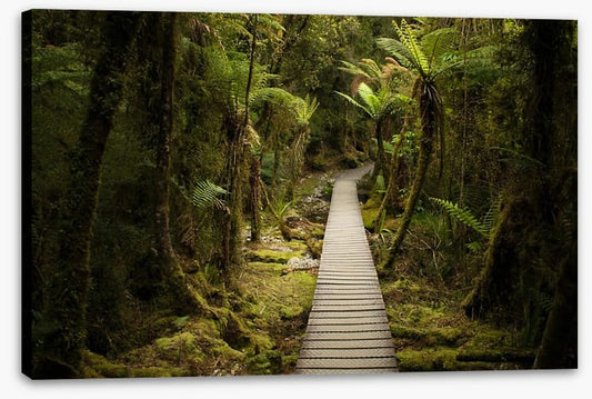 Follow me forest