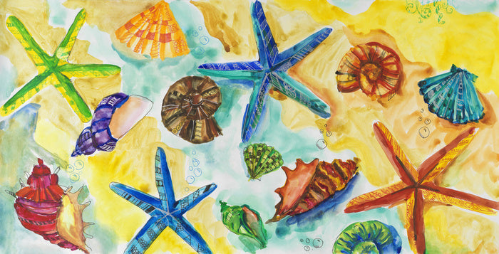 Starry starry shells