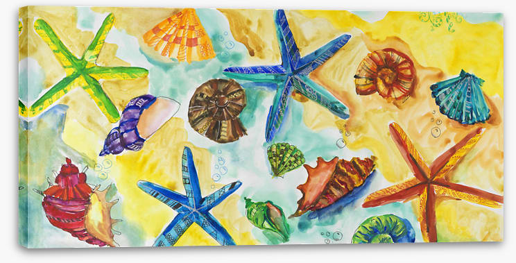 Starry starry shells