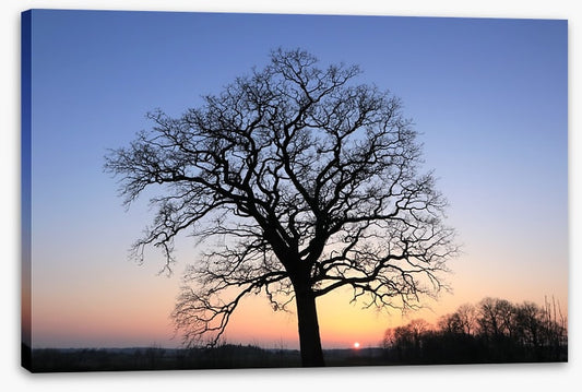 Sky silhouette