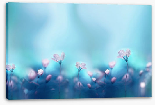 The dance of spring