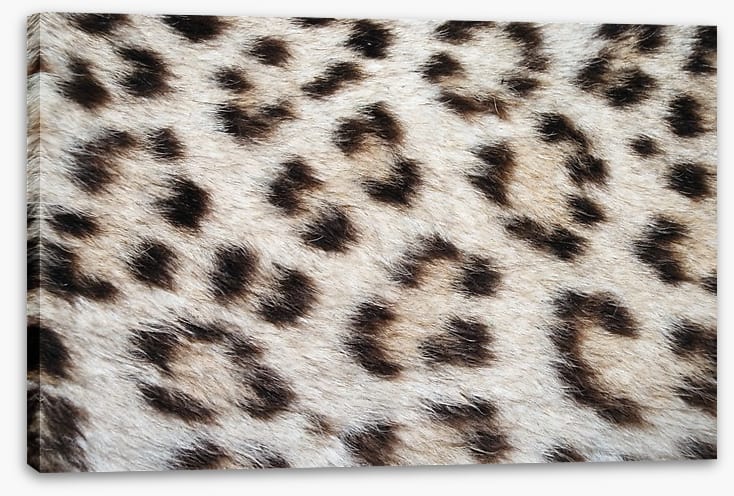 Animal Print