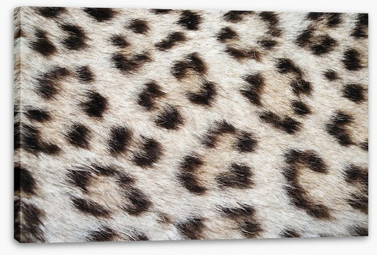 Animal Print
