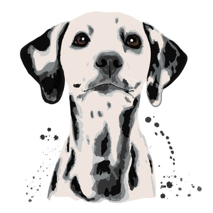 Dots off a dalmatian