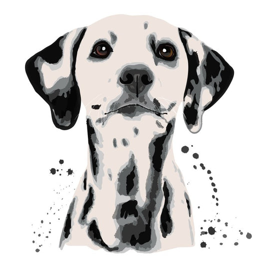 Dots off a dalmatian