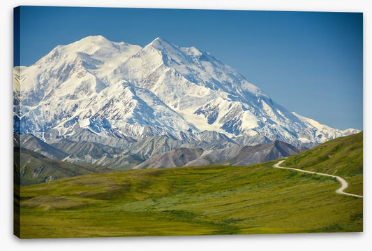 Road to Mount Denali