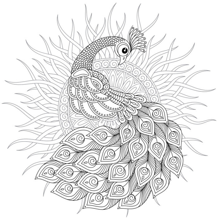 Colour me peacock sun