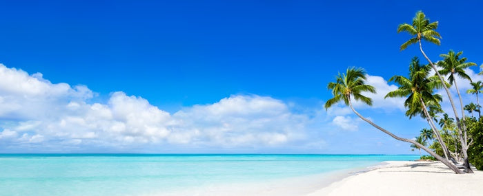 Pure paradise