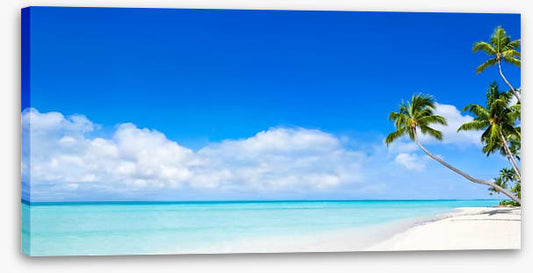 Pure paradise