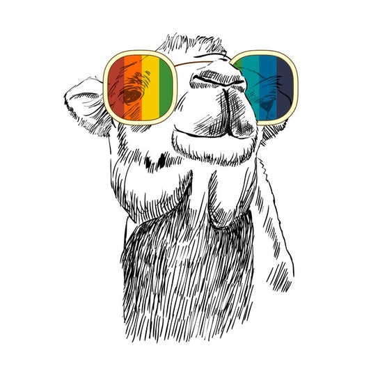 Retro camel