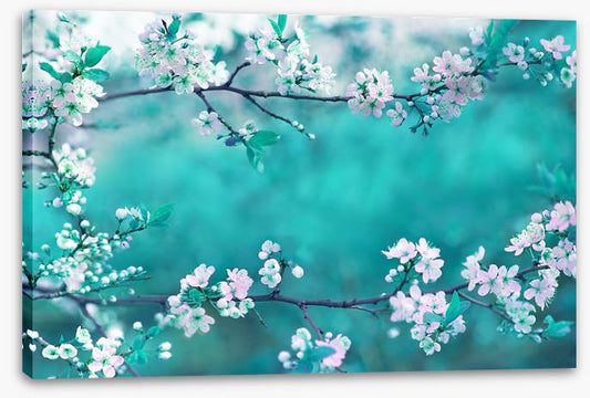 Sakura season
