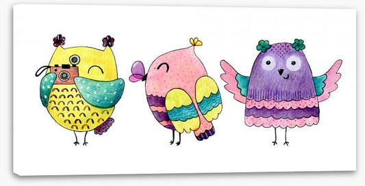 Owls