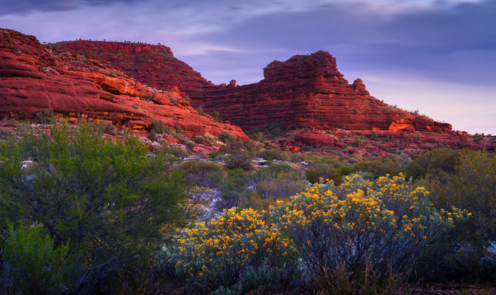 Glow before dusk