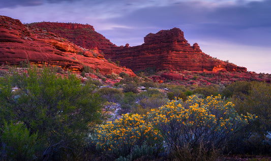 Glow before dusk
