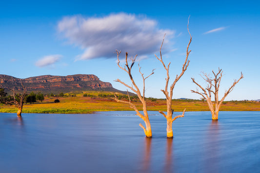 After the deluge
