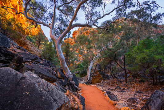 Path less travelled