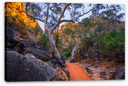 Path less travelled