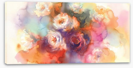 A splash of white roses