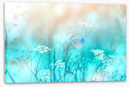 Butterfly blues