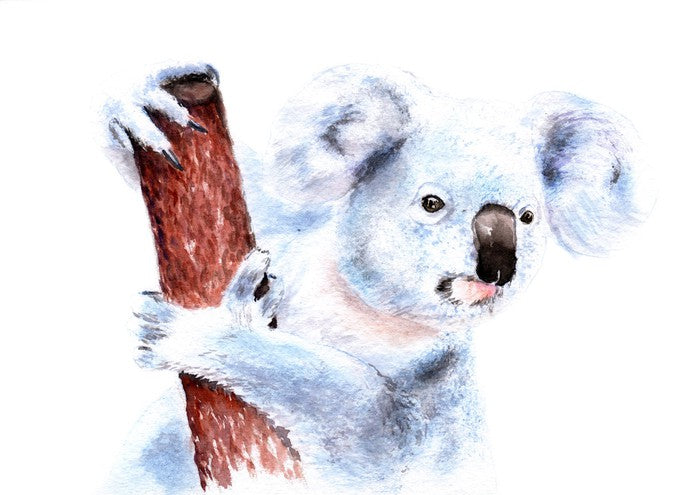 Blinky Bill