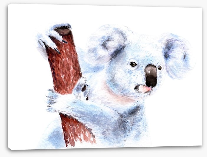 Blinky Bill