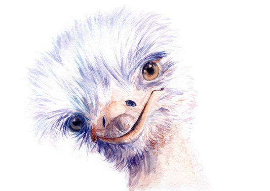 The amiable ostrich