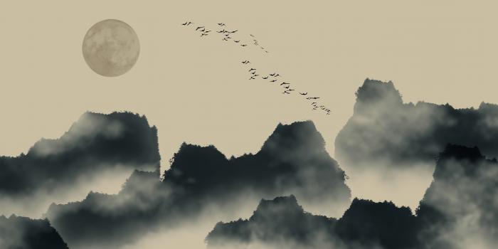 Misty evening flight