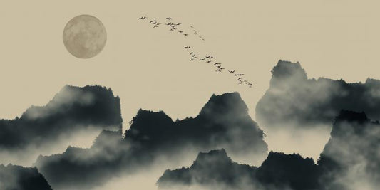 Misty evening flight