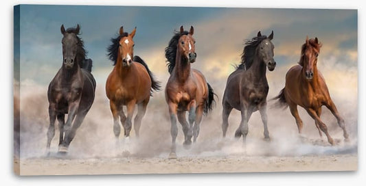 The five amigos