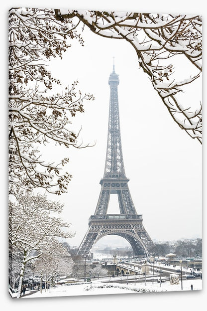 Paris in the snow