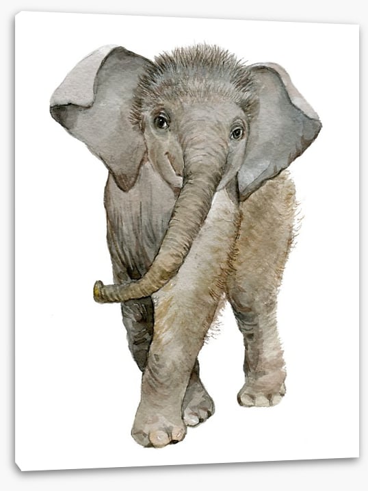 Elephant fuzz
