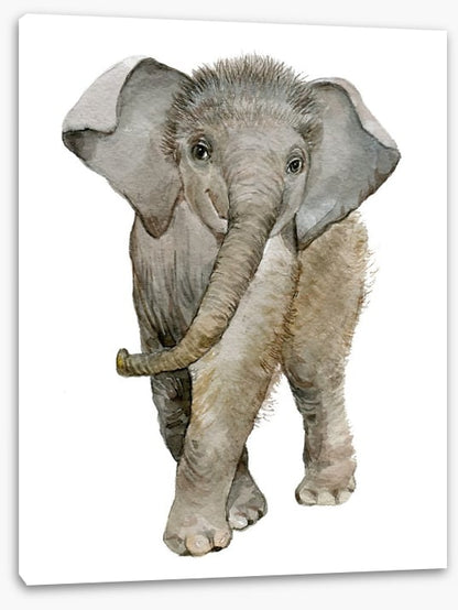 Elephant fuzz