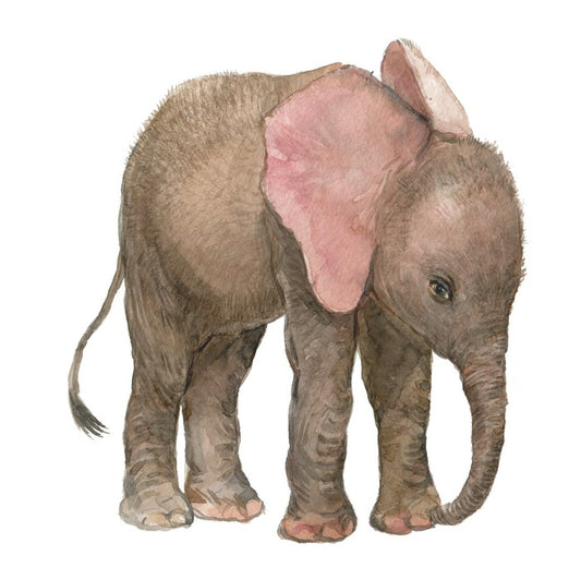 Elephants