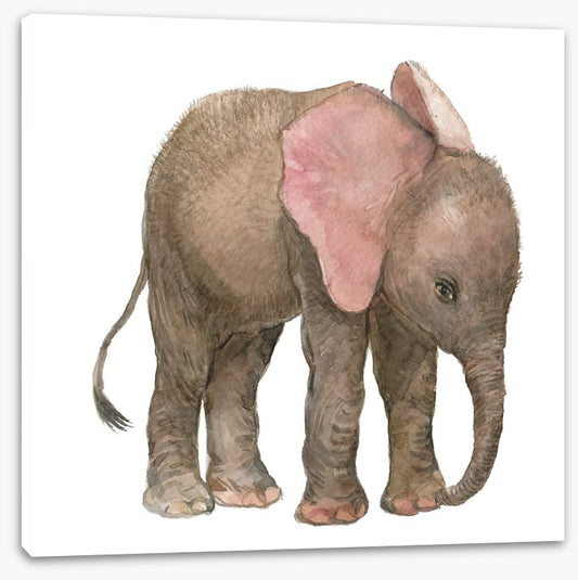 Elephants