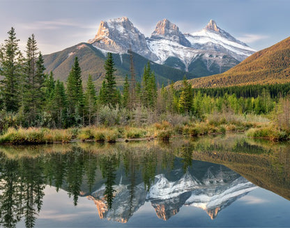 Sisterly reflections