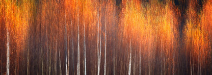 Golden brown