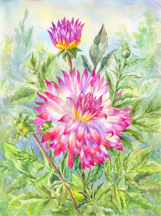 Wild dahlia