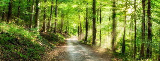 Sun ray road