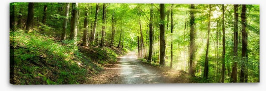 Sun ray road