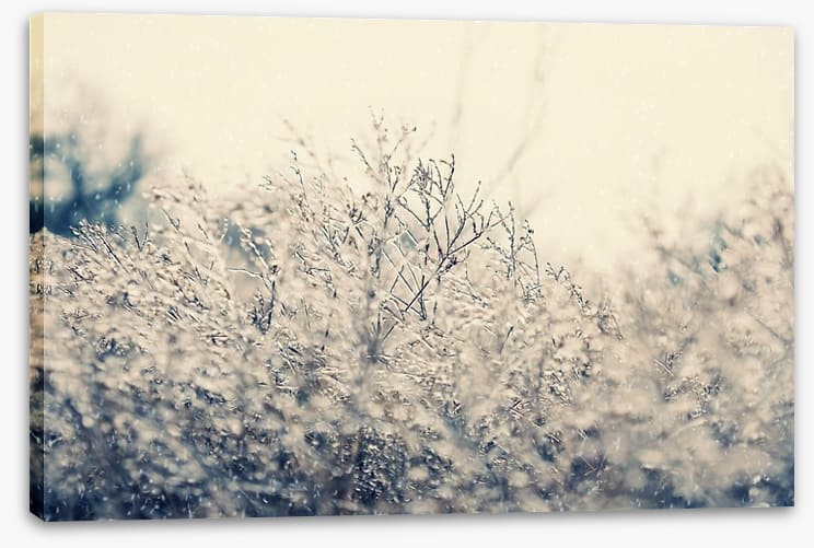 Touch of winter