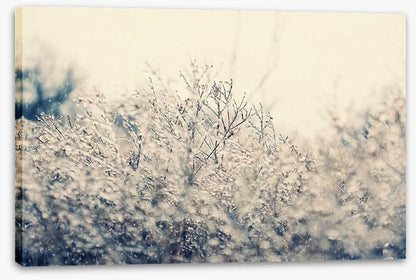 Touch of winter