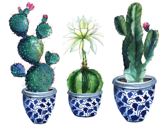 Pots of prickle