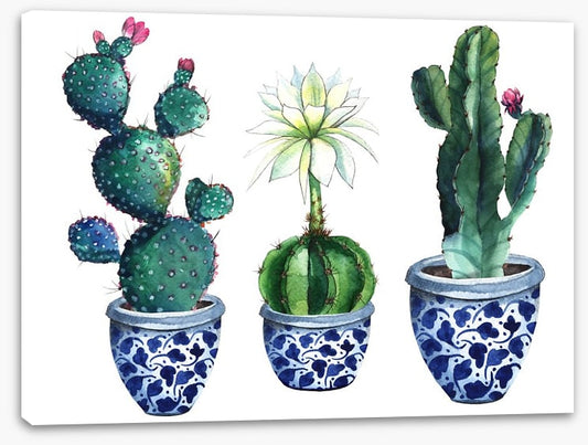 Pots of prickle