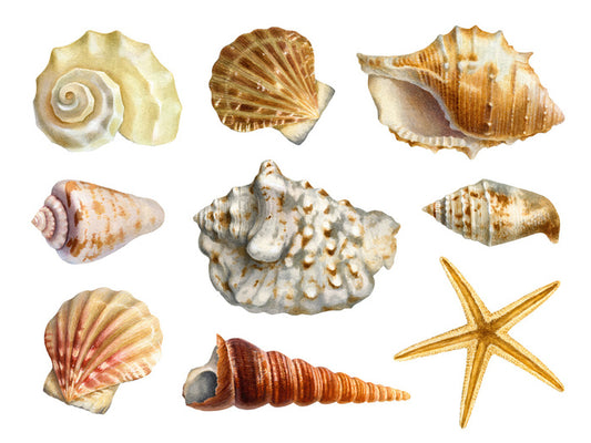 Of the sea