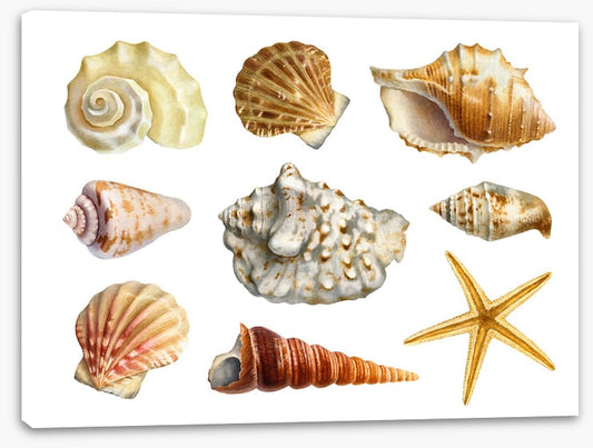 Of the sea