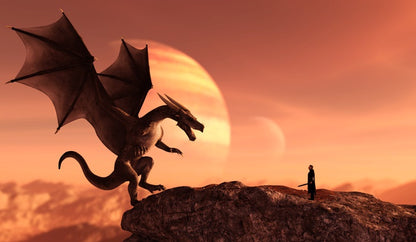 The dragon slayer