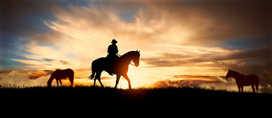 Back on the horse