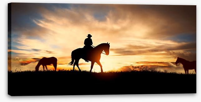 Back on the horse