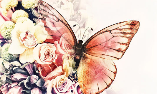 Rosy wings